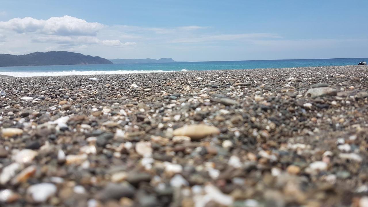 Hospedaje Algarrobo Machalilla Εξωτερικό φωτογραφία